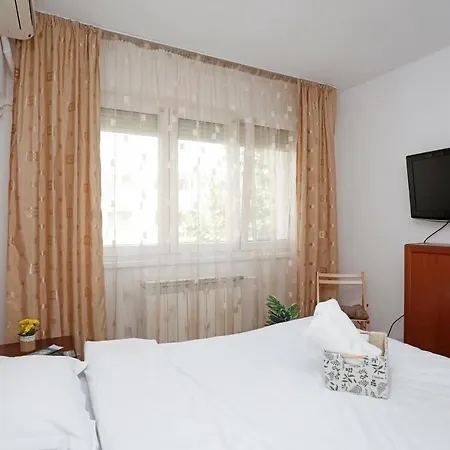 Calea Victoriei Peaceful Oasis Apartment